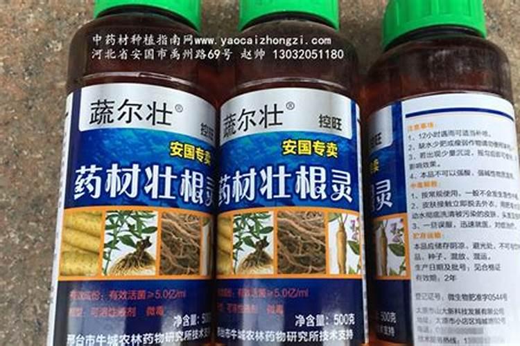 中药材西洋参生根膨大素,中药材人参壮根灵厂家批发,中药材半夏地下茎块...