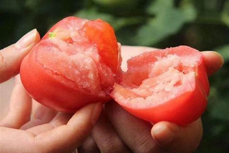 番茄畸形果有哪些种类？是怎么形成的？如何有效防治？