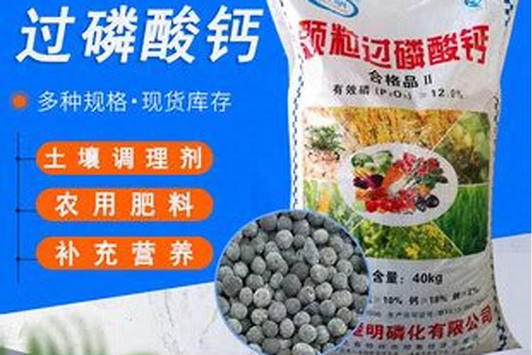 十月份移栽茶叶苗需要剪枝吗？栽后要浇定根水吗