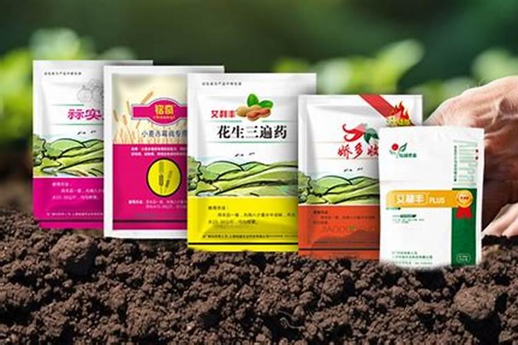 天门冬的养殖方法和注意事项