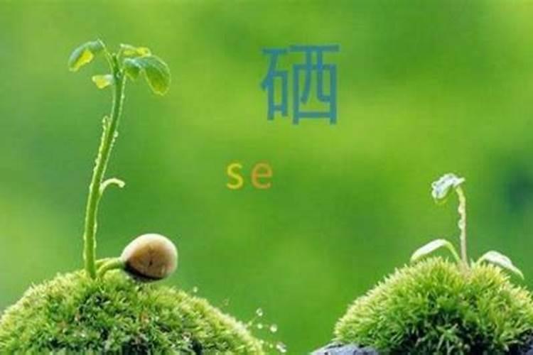 怎样给植物补硒元素