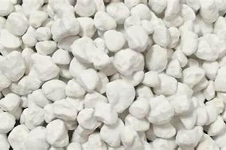 番茄什么时候冲钙肥好 注意事项有哪些