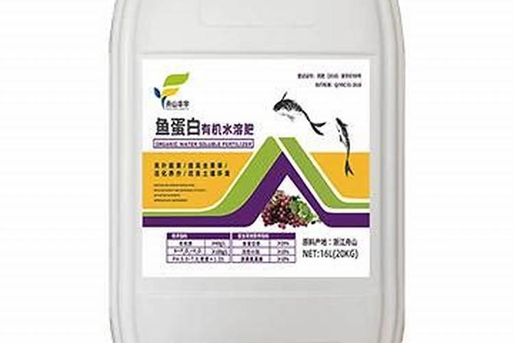 衢州有什么好吃的？衢州有哪些美食!