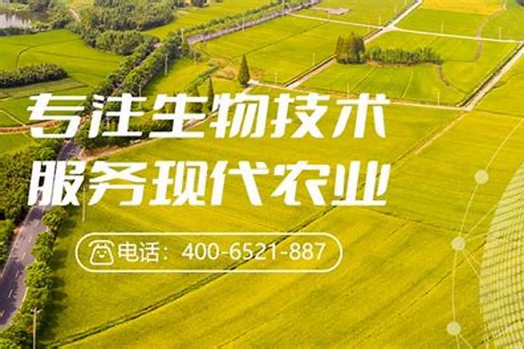 核桃树什么时候施钾肥最好