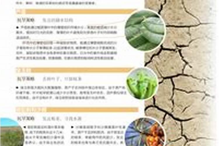 磷肥如何施肥