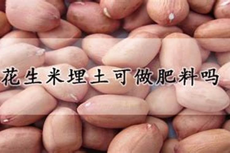 山西大同玉米秋收时间