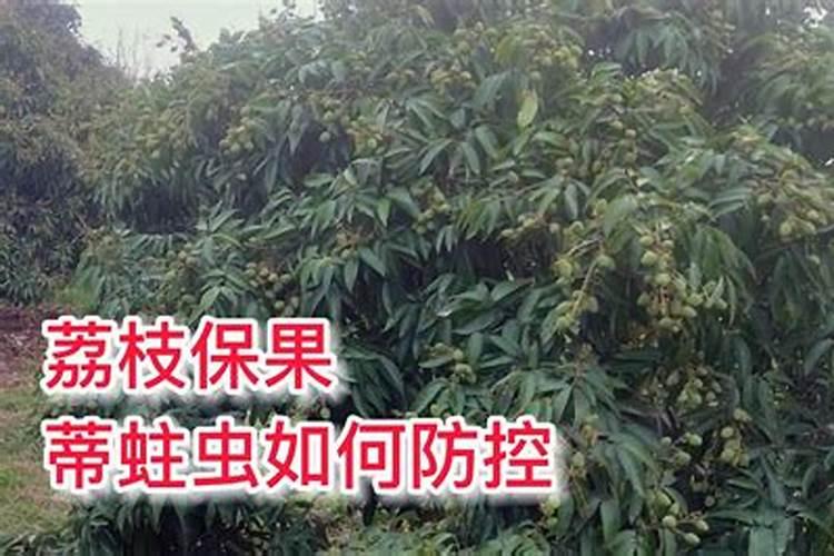想知道肥料含硝态氮,硝硫基,硫酸钾,氯化钾…怎么区分,其次效率,作用,都...