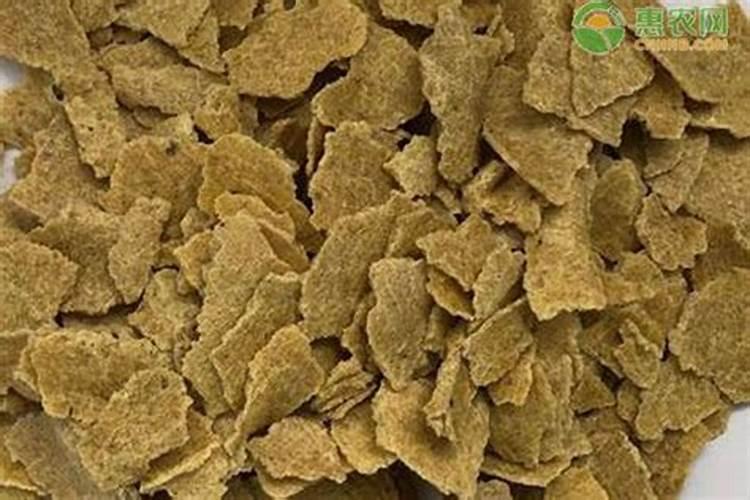 大樱桃花前使用什么肥料