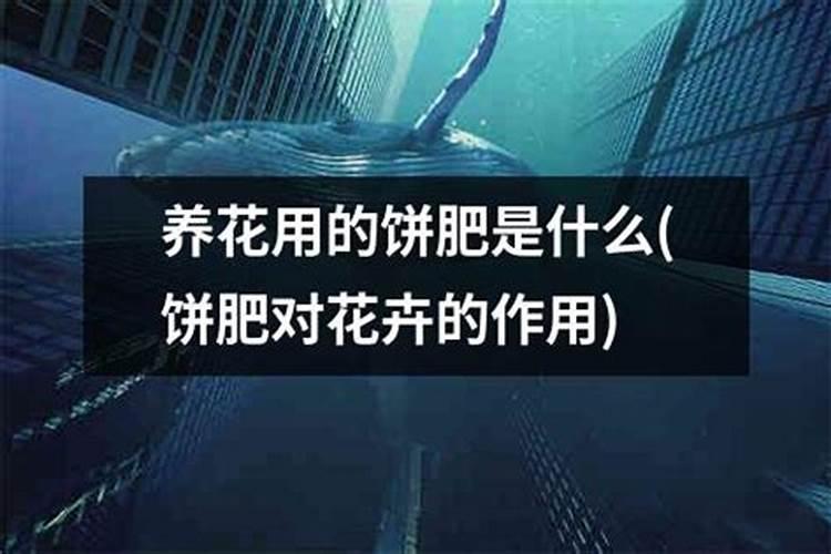 金银花浇什么肥料合适