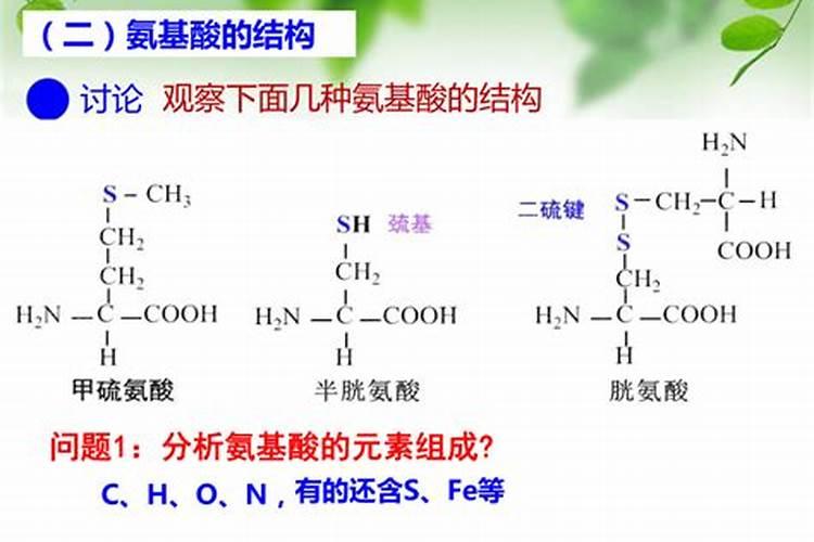 世界水溶肥前十品牌