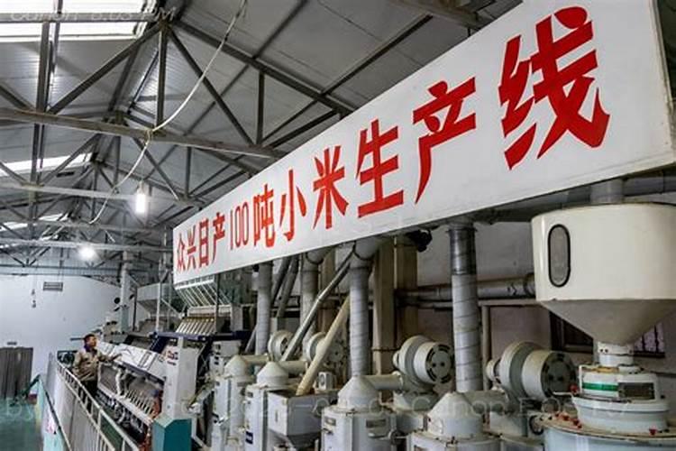 小米适合什么样的环境