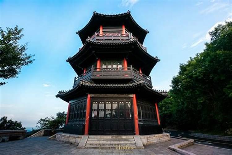 你好!红美人适合在福建长汀种植吗？ 大概亩产多少斤？收购价格大约...