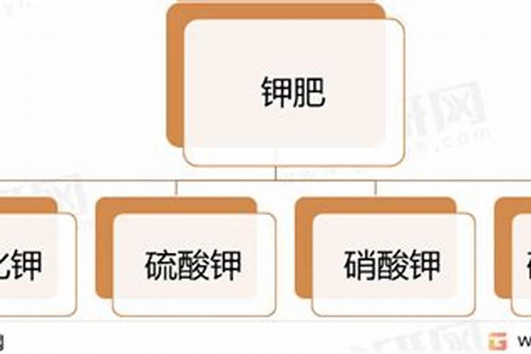 夏枯草泡水喝还是煮水喝好夏枯草泡水喝和煮水喝哪个好