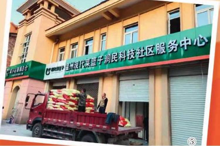 泰顺县可以种植蓝莓吗？