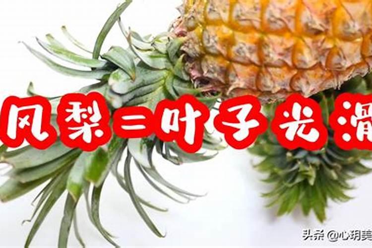 玉米一生需要多少氮磷钾 玉米一生需要多少氮肥