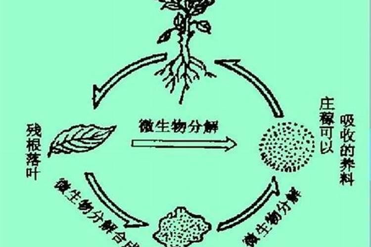陶瓷用的腐植酸钠解胶剂的成份