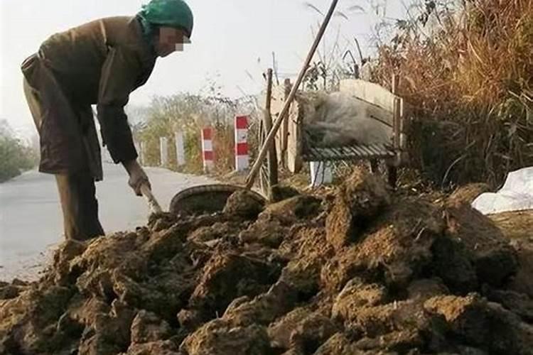 生活中哪些废弃的水对植物来说是比较好的肥料？