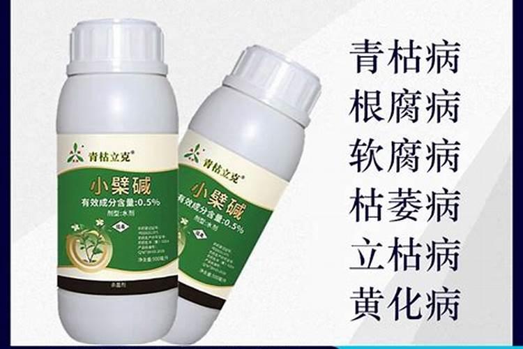 冬天蔬菜怎么过冬