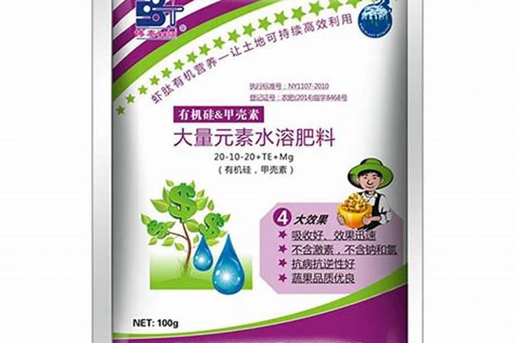 月季栽上后多久可以晒太阳呢？