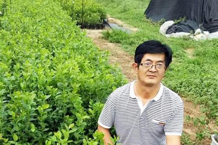 常用的氮肥有哪些种类