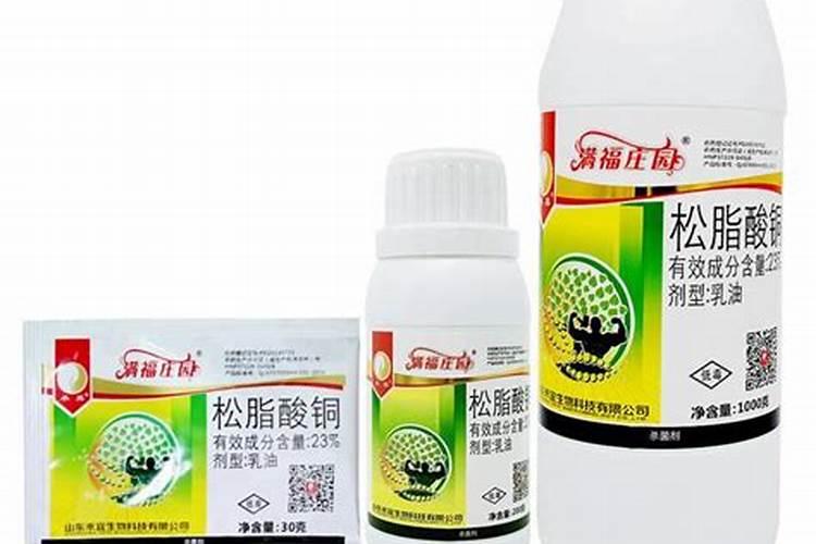 小麦根腐病和茎基腐病怎样根治