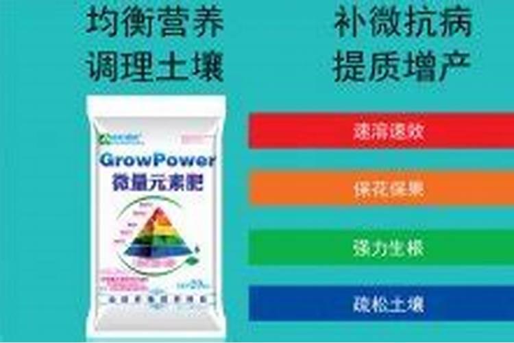 种花用什么肥料比较好