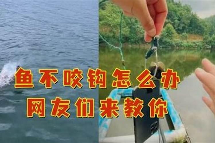 鱼塘里撒了尿素怎么才能让鱼开口