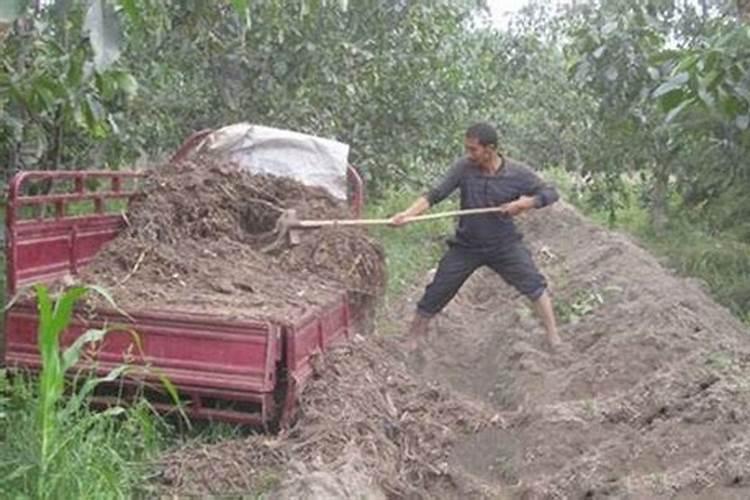 生产水溶肥需要办理哪些证件手续合法