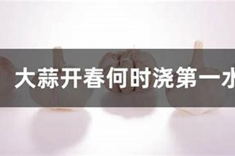 苹果树开春施什么肥好苹果树开春施什么肥