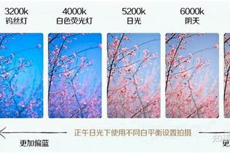 灰色,白色复合肥哪种种菜好