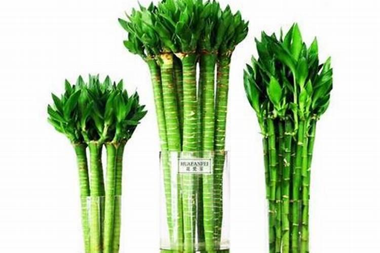 武汉施美盛生物科技有限公司怎么样？