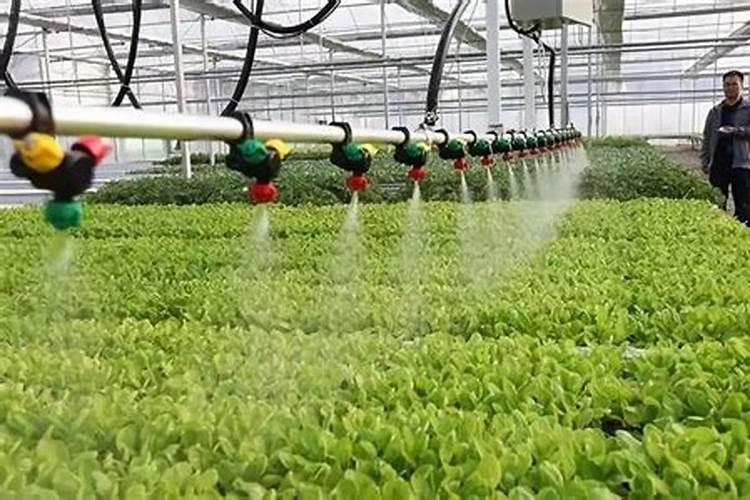 水肥一体化应用的主要技术及方法