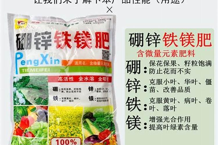 猕猴桃叶子发黄怎么办