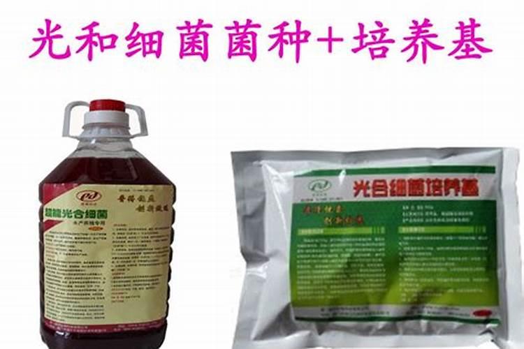 肥水膏EM菌小球藻能一起用吗？