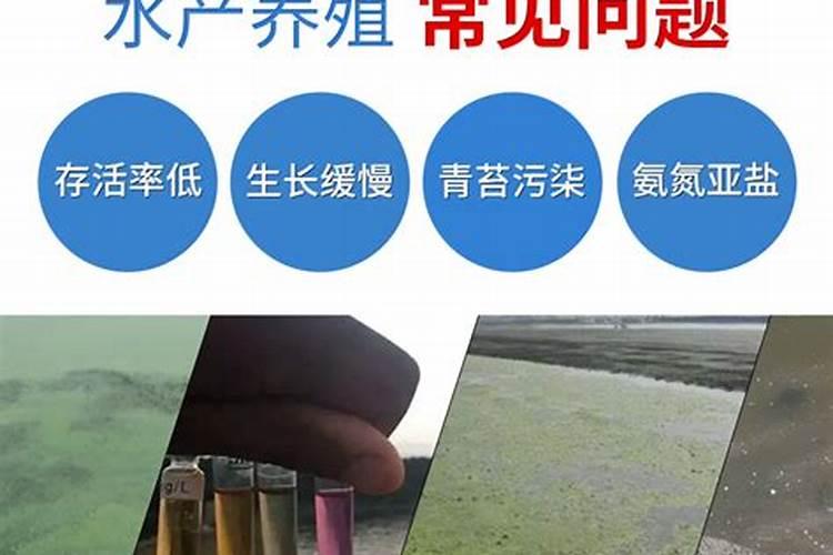水稻什么时间施肥最好
