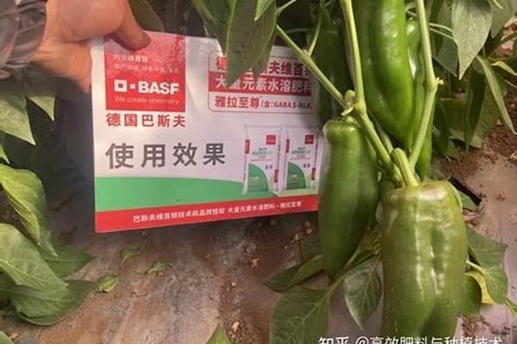 辣椒用什么配方的肥料好？做底肥。