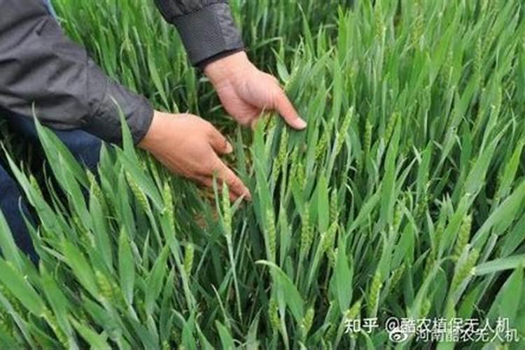 关于国营企业财政驻厂员工作的暂行规定