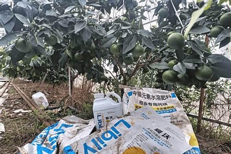 十斤水加多少克鱼蛋白原浆合适