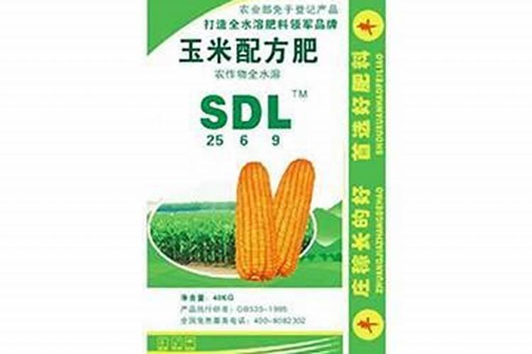 玉米一次性肥料哪个好