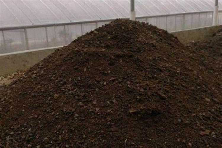 种蔬菜用什么肥料 家庭种植蔬菜的时候