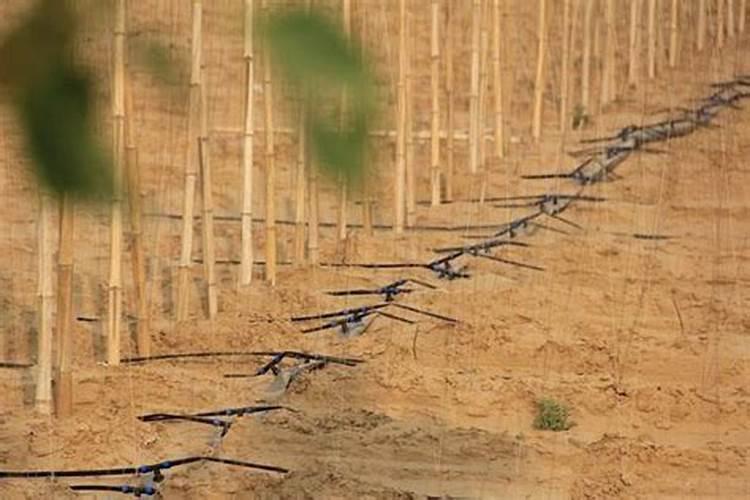 一吨水放多少公斤复合肥