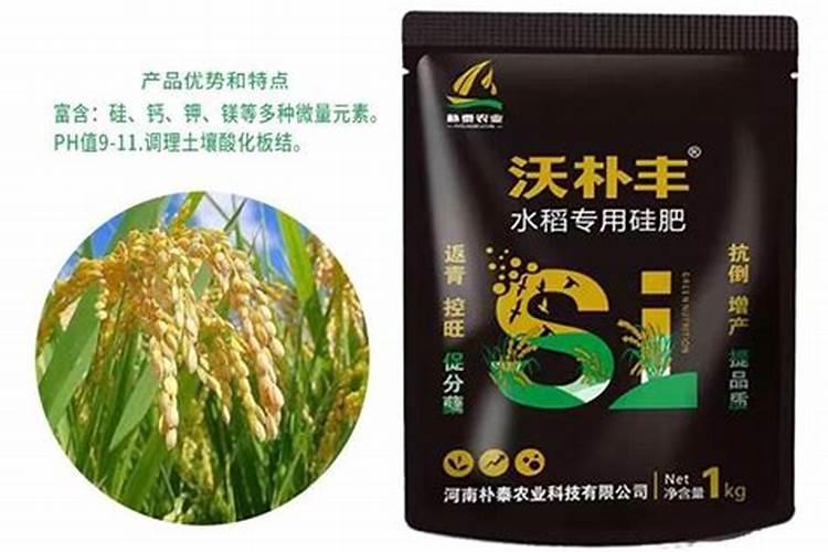 硅肥应该在什么时候使用 硅肥什么时候施最佳