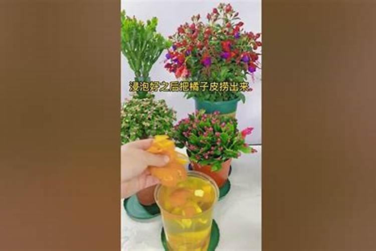 用多菌灵多久可以用肥料