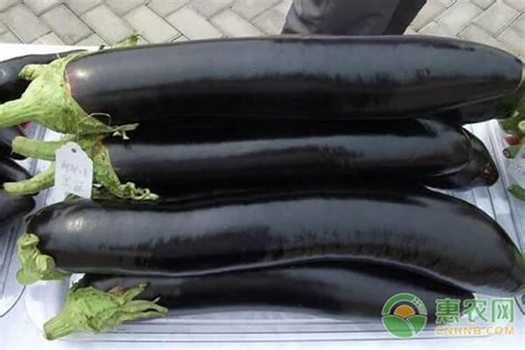 桃树追肥用什么肥料好