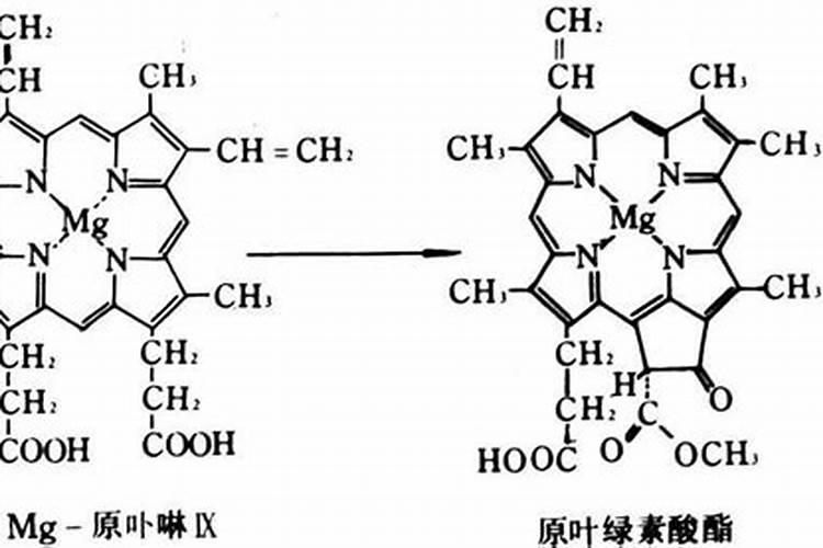 水溶肥配方谁知道