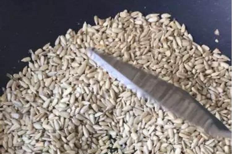 养长寿花、蟹爪兰,如何自制花肥让花开一茬接一茬？