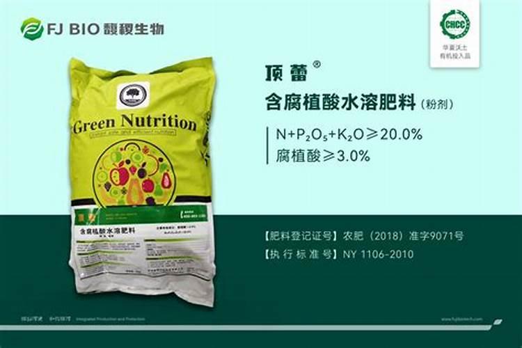 种菜籽的正确方法