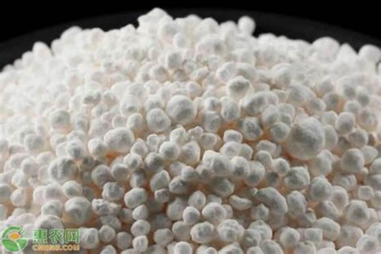 柚子挂果树可以施氯化钾肥吗？