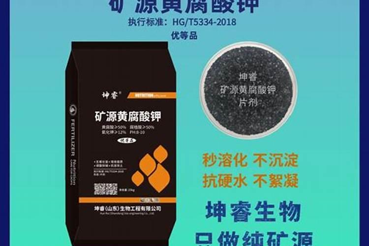 桑叶的功效与作用 桑叶有什么功效