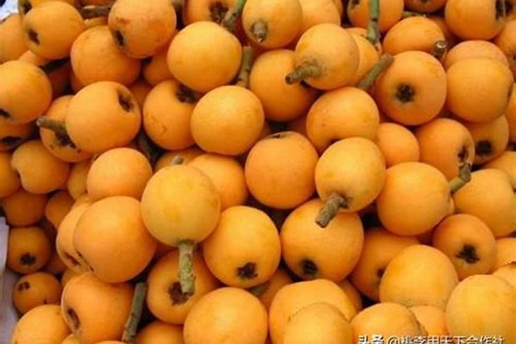 青椒用什么肥料最好